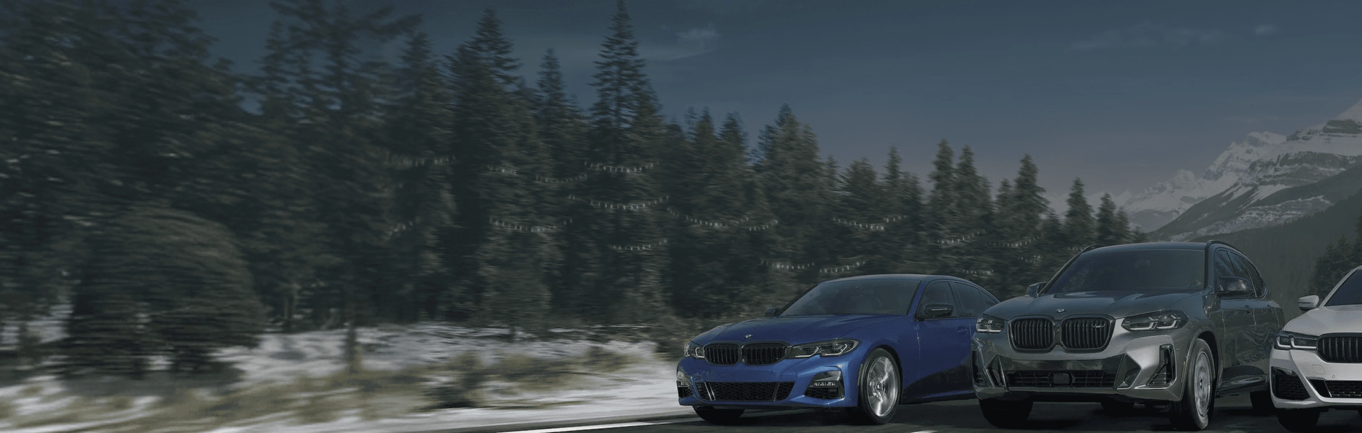 Three BMWs running on forest road